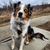 Entry image for Ryker