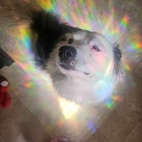 Entry image for Hughie