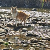 Entry image for Lucy