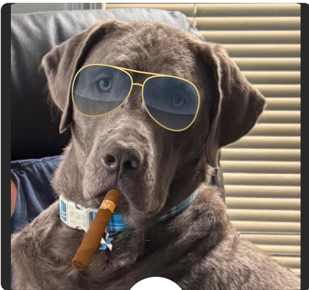 Entry image for Max. Clicking this image will show a larger photo