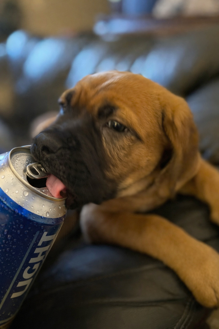 Entry image for Soleil. Clicking this image will show a larger photo