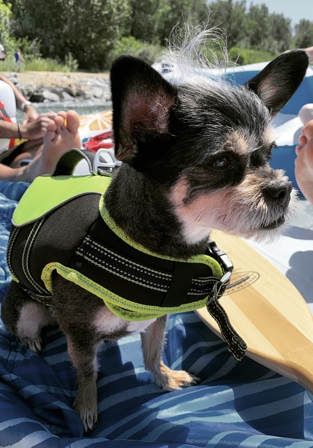 Entry image for Tia. Clicking this image will show a larger photo