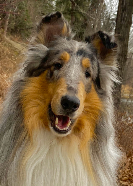 Entry image for Denim. Clicking this image will show a larger photo