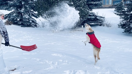 Entry image for Ellie. Clicking this image will show a larger photo