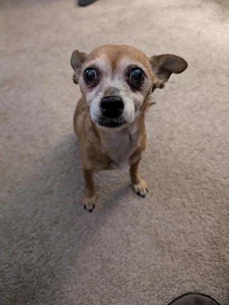 Entry image for Journey . Clicking this image will show a larger photo