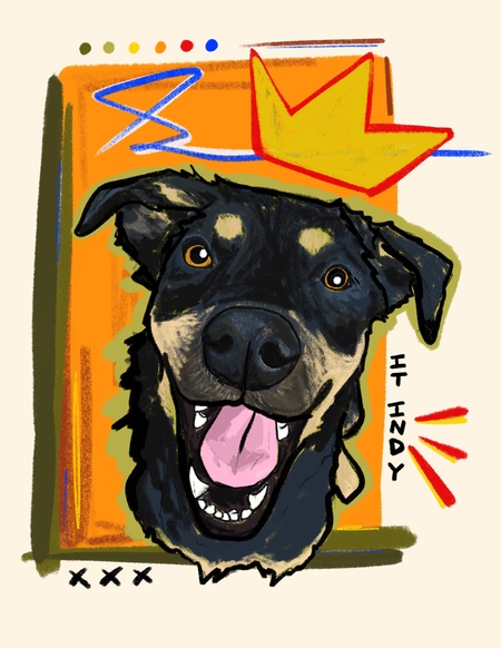 Entry image for Indy. Clicking this image will show a larger photo