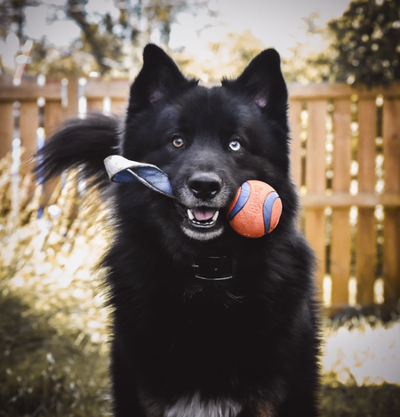 Entry image for Pvt Leslie Dancer. Clicking this image will show a larger photo