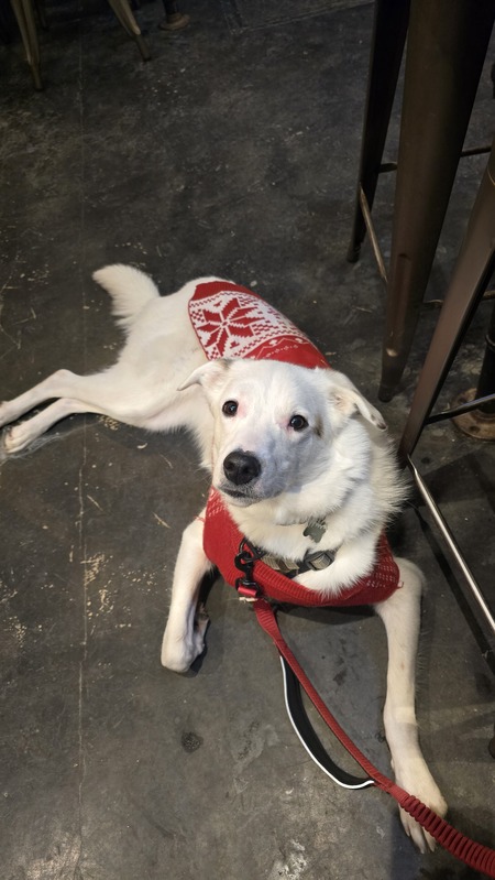 Entry image for Avy. Clicking this image will show a larger photo