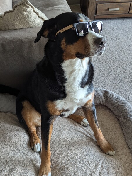 Entry image for Jersey. Clicking this image will show a larger photo