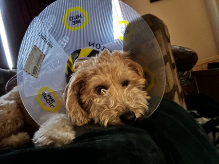 Entry image for Sunshine. Clicking this image will show a larger photo