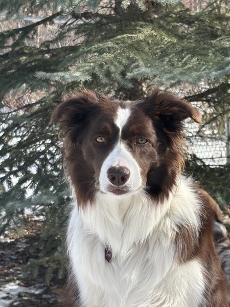 Entry image for Zoe. Clicking this image will show a larger photo