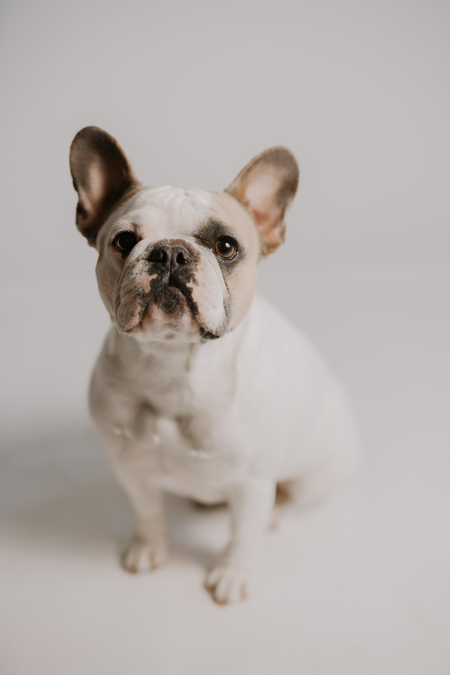 Entry image for Gwen . Clicking this image will show a larger photo