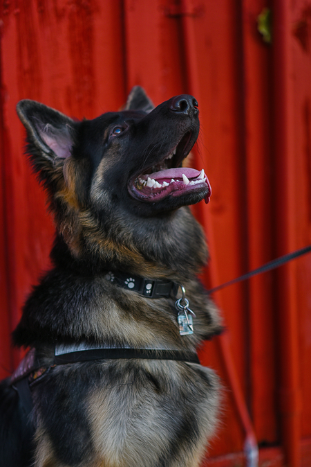 Entry image for Reno. Clicking this image will show a larger photo