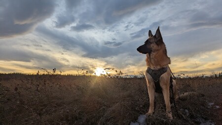 Entry image for Grace. Clicking this image will show a larger photo