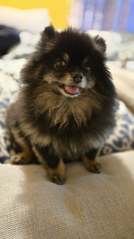 Entry image for Roger. Clicking this image will show a larger photo