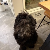 Entry image for Katri