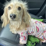 Entry image for Stevie Nicks