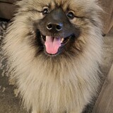 Entry image for Beau