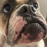 Entry image for Lizzy lou