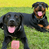 Entry image for Moose+Knuckles