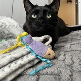 Entry image for Penny