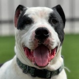 Entry image for Stephen Hawking