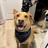 Entry image for Kevin