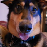 Entry image for Walter