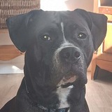 Entry image for Ca$h