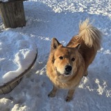 Entry image for Brixton 