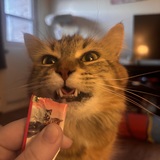 Entry image for Lily