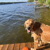 Entry image for Ricky