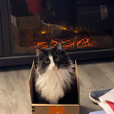 Entry image for Monte