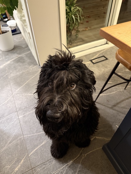 Entry image for Katri. Clicking this image will show a larger photo