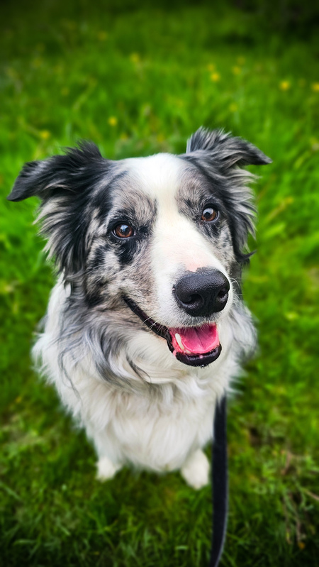 Entry image for Salento. Clicking this image will show a larger photo