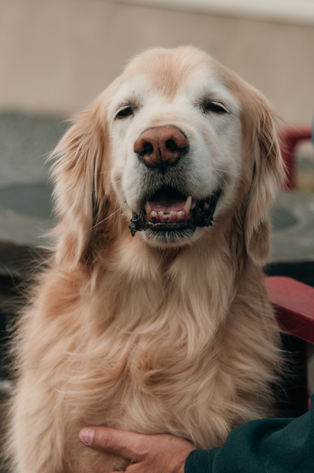 Entry image for Van. Clicking this image will show a larger photo