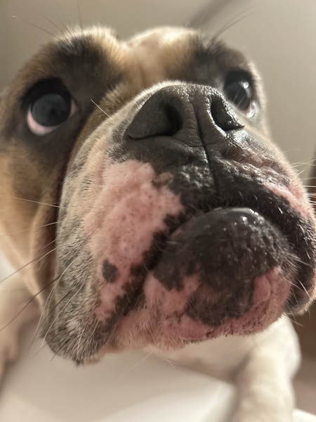 Entry image for Lizzy lou. Clicking this image will show a larger photo