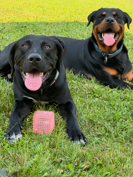 Entry image for Moose+Knuckles. Clicking this image will show a larger photo