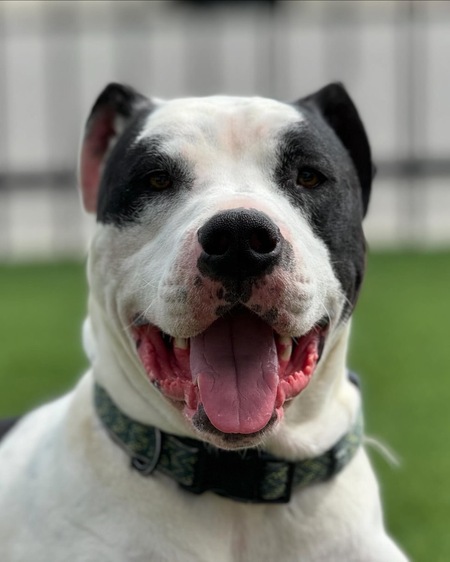 Entry image for Stephen Hawking. Clicking this image will show a larger photo