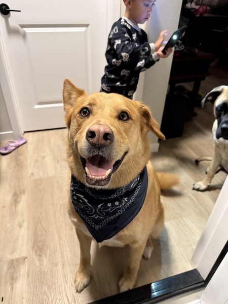 Entry image for Kevin. Clicking this image will show a larger photo