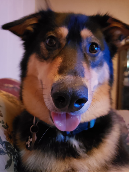 Entry image for Walter. Clicking this image will show a larger photo