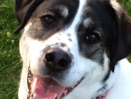 Entry image for Sahara. Clicking this image will show a larger photo