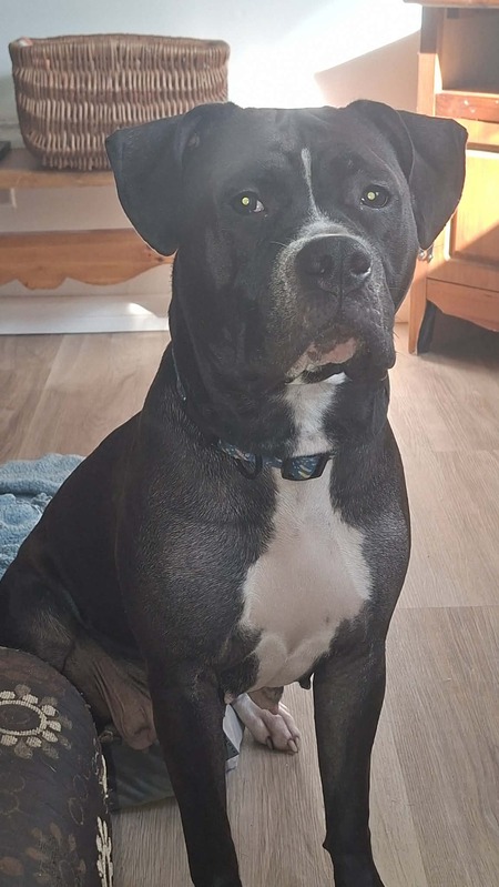 Entry image for Ca$h. Clicking this image will show a larger photo