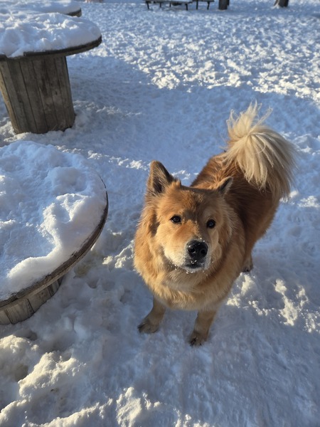 Entry image for Brixton . Clicking this image will show a larger photo