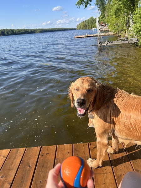 Entry image for Ricky. Clicking this image will show a larger photo