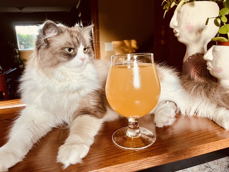 Entry image for Kiki. Clicking this image will show a larger photo