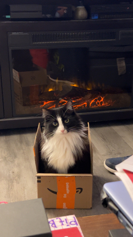 Entry image for Monte. Clicking this image will show a larger photo