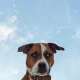 Entry image for Kevin