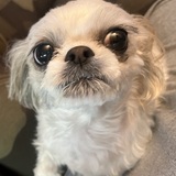 Entry image for Daisy