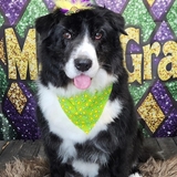 Entry image for Jean